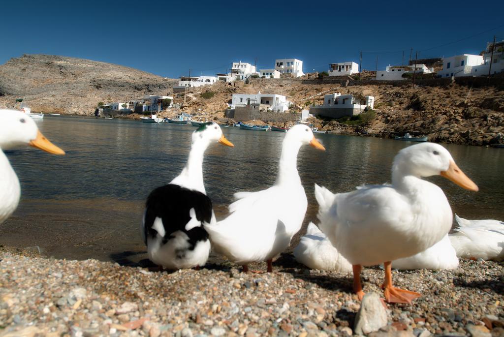 Romanza Cherronisos  Dış mekan fotoğraf